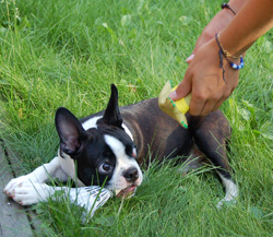 Tehdäänkö vaihtokauppa?